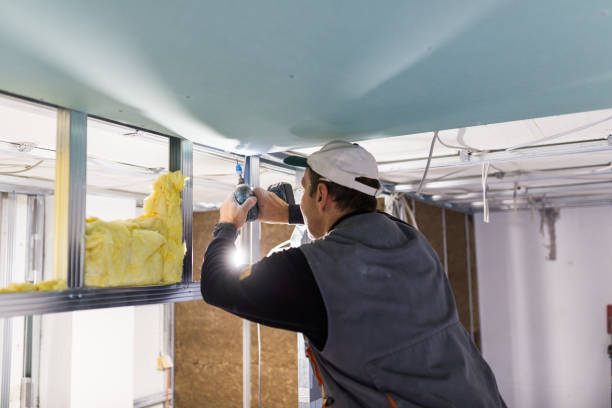 Best Fiberglass Insulation  in Bettendorf, IA