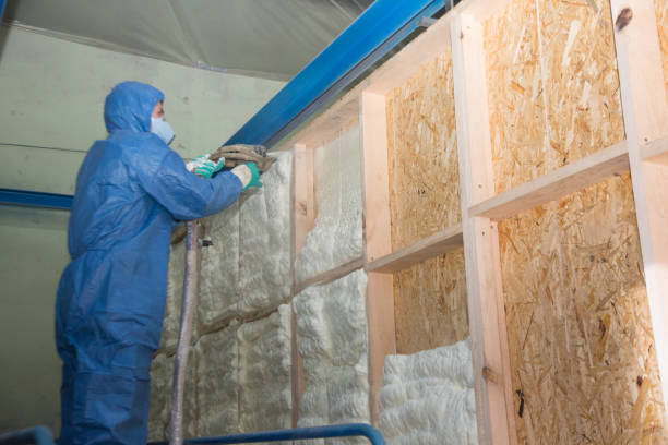 Professional Insulation Contractor in Bettendorf, IA